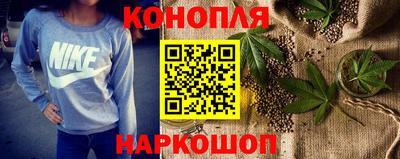 дмт Гатчина