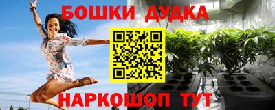 дмт Гатчина