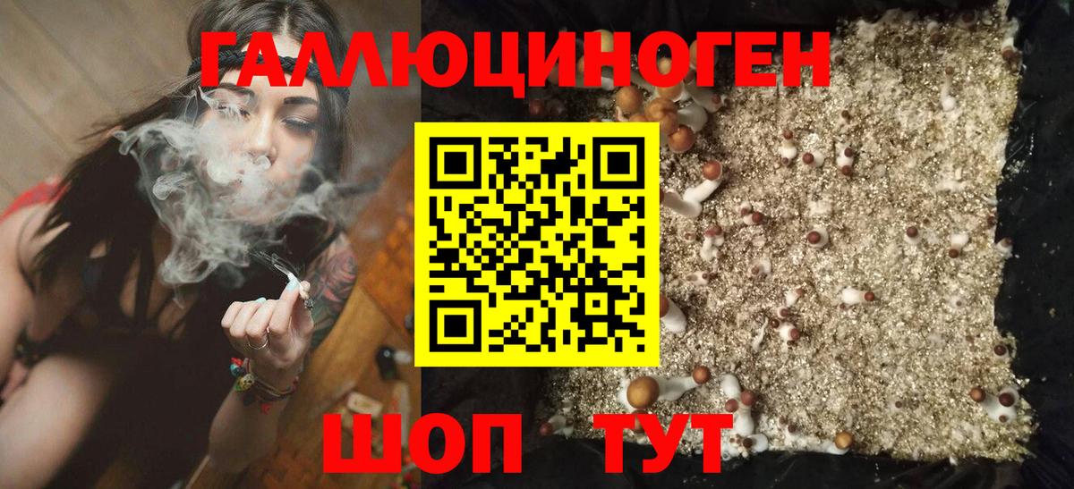 Псилоцибиновые грибы мицелий  Вход с VPN  Сергиев Посад  Псилоцибиновые грибы мухоморы 
